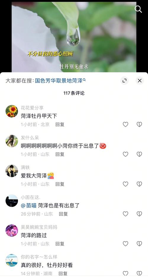 《国色芳华中的牡丹再度走红：为何它成为当下的文化热潮？》