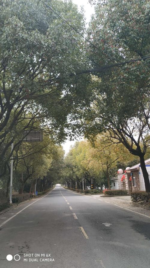 常州经开区横山桥镇：情怀引领发展新篇章