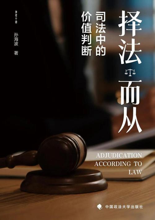 《美国司法第一季》掀起热议：法律与社会的深刻碰撞，揭示司法系统的复杂与挑战